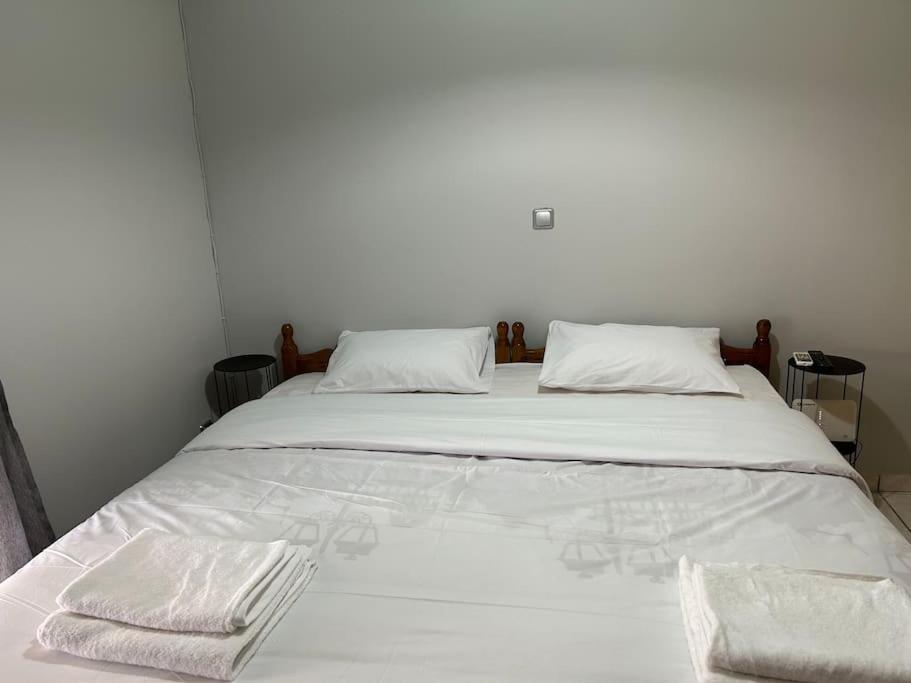 D2 Apartment - Athens Oasis 외부 사진
